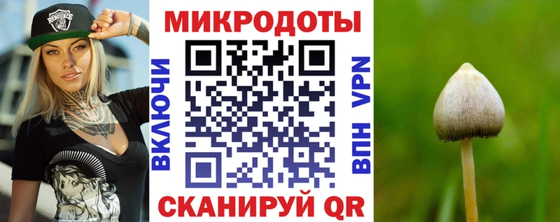 Купить где  Гремячинск  Галлюциногенные грибы Psilocybine cubensis 