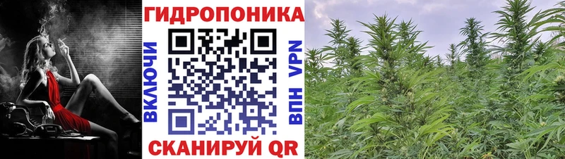 Шишки марихуана план Гремячинск